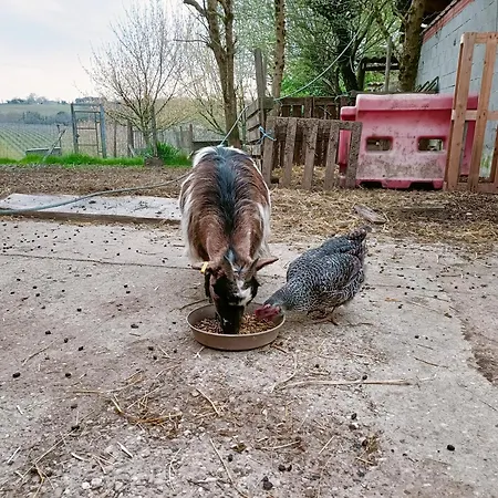 Clos De Bigorre Homestay szállás *