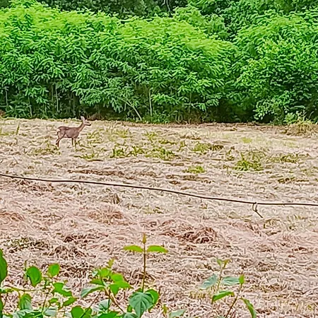 Clos De Bigorre Homestay szállás Tabanac
