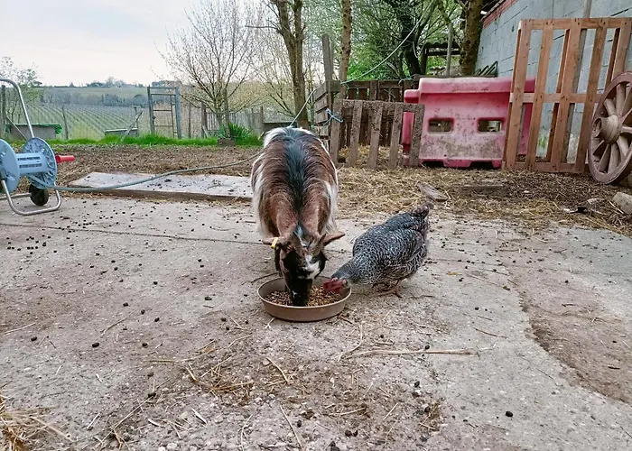 Clos De Bigorre Privat bolig *