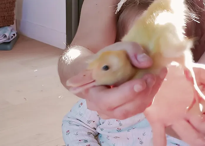 Clos De Bigorre * Tabanac