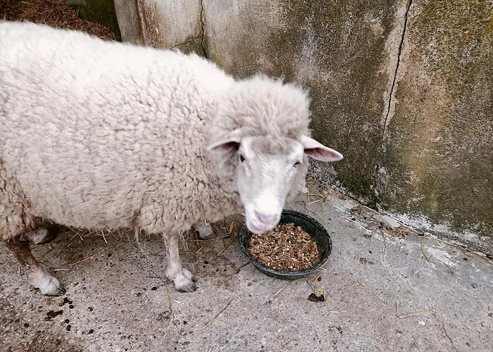 Clos De Bigorre Privat bolig Tabanac